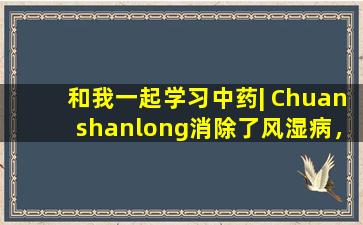 和我一起学习中药| Chuanshanlong消除了风湿病，促进血液循环并解开子午线
